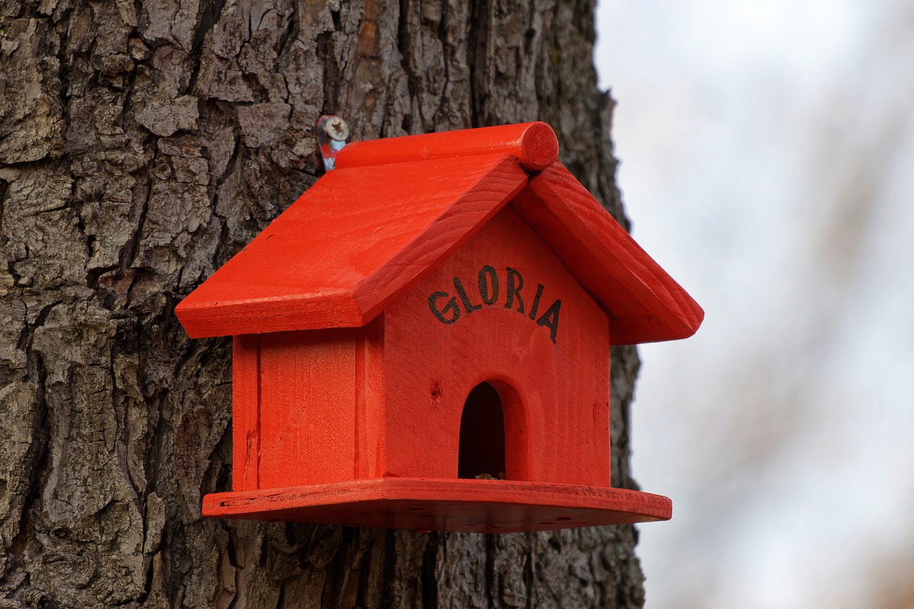 Quirky DIY Birdhouse Ideas for Your Yard Decor